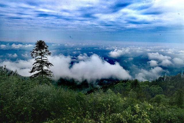 神奇骆崃山 ， 99匹骏马想与你相见