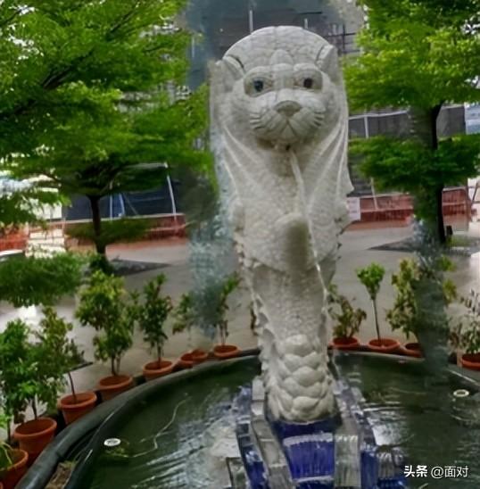 利川避暑山庄苏马荡树林下人们活动剪辑 老人安享晚年 小孩亲近自然