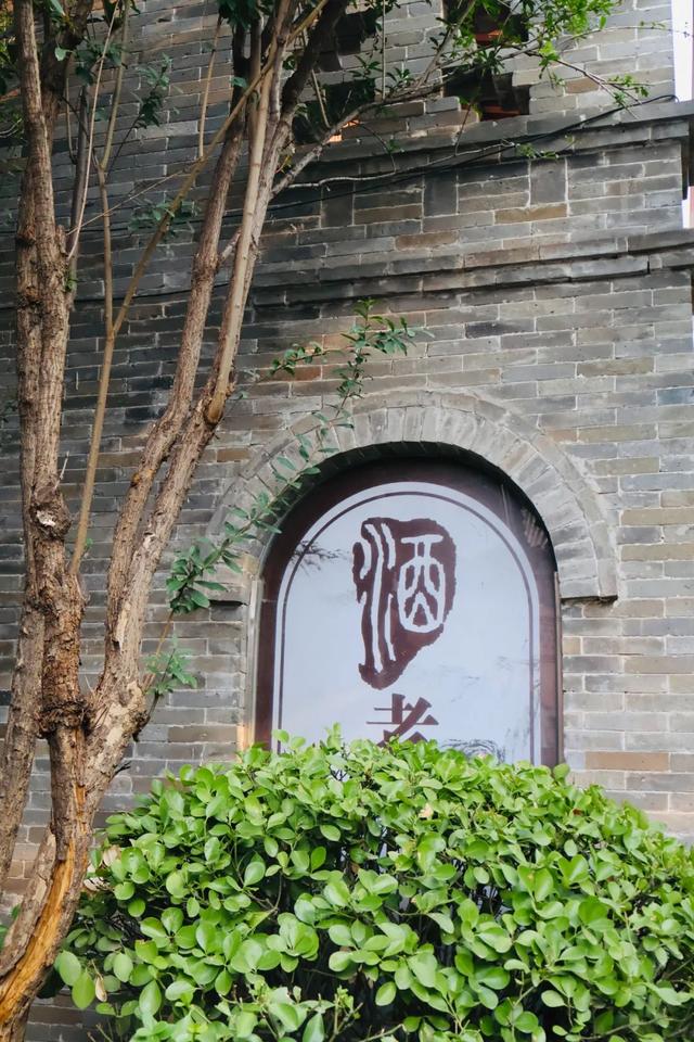 “铁腚大巴”甘南线第一站：洛阳的未央风华与智创未来