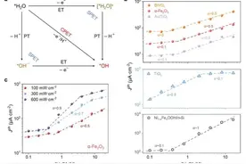 催化顶刊集锦：JACS、Nature子刊、Angew、ACS Catalysis等成果图片