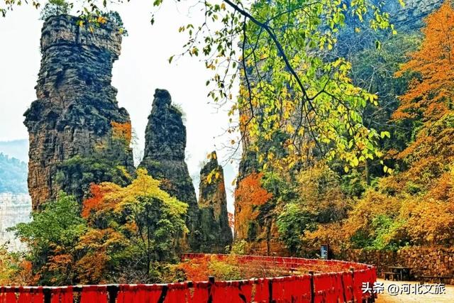 漫山红叶等你来赏，感受秋日兴隆山里的惬意时光