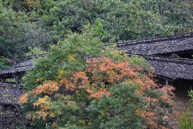 让我再看你一眼🧡