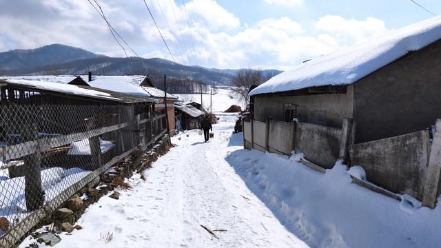 “白天立冬，暖烘烘；晚上立冬，冻死牛	”，2025年立冬是几点？