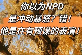“吸干你的价值”的女人：揭秘NPD女性的情感操纵术图片