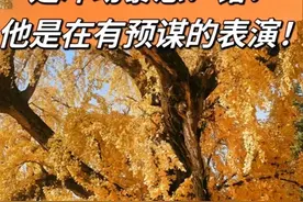 “吸干你的价值”的女人：揭秘NPD女性的情感操纵术图片