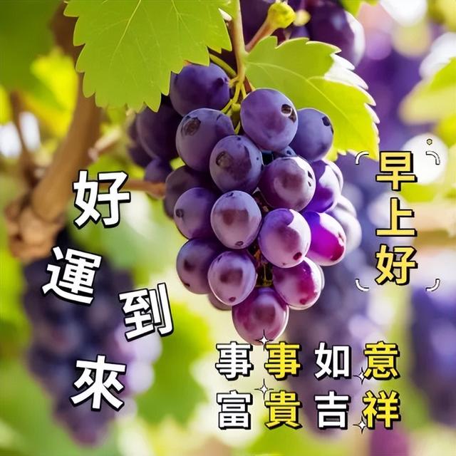 特别暖心的早安问候语，开心短句发朋友圈祝福，吉祥如意身体好