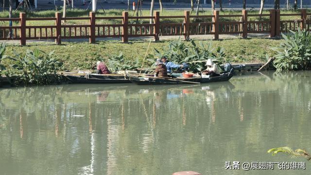 《美丽的泥家浜河畔悠然时光》