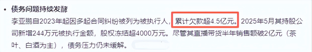 54岁李亚鹏再次离婚，背负债务超4.5亿，放手是对妻女最大的保护
