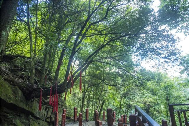 春假倒计时｜汉江源亲子踏青指南，承包全家春日欢喜！