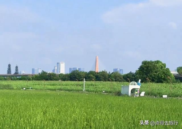 成都三元地铁又上新风景，超级惊艳，不要门票，地铁直达！