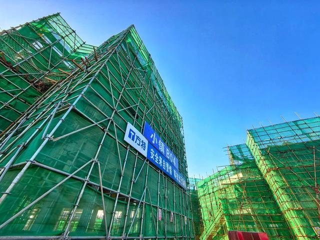 上新！好美！洛阳新晋网红打卡地+1+1+1