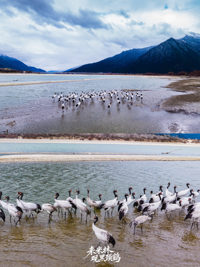 这个冬天，一定要来西藏看……