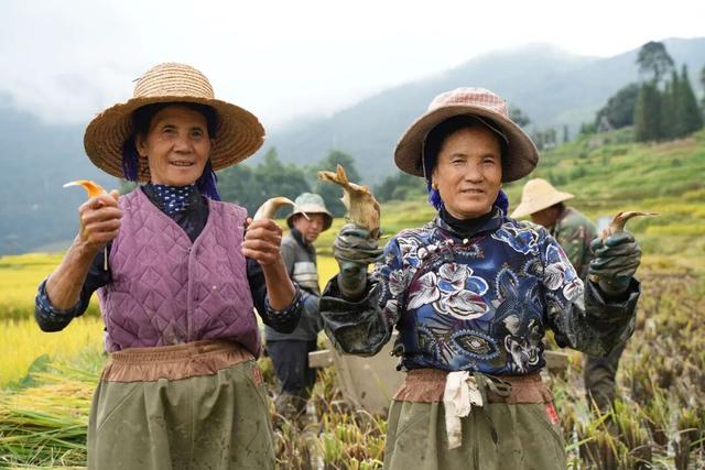 元阳，全球唯一“三遗产”地标！
