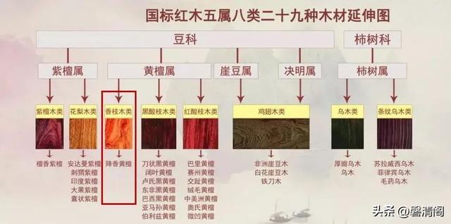 什么是花梨？花梨木的概念及木种简介