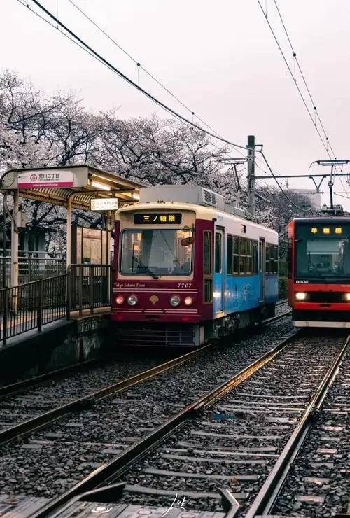 中国游客在日本有多危险？国家终于发声了，赴日旅游订单瞬间暴跌