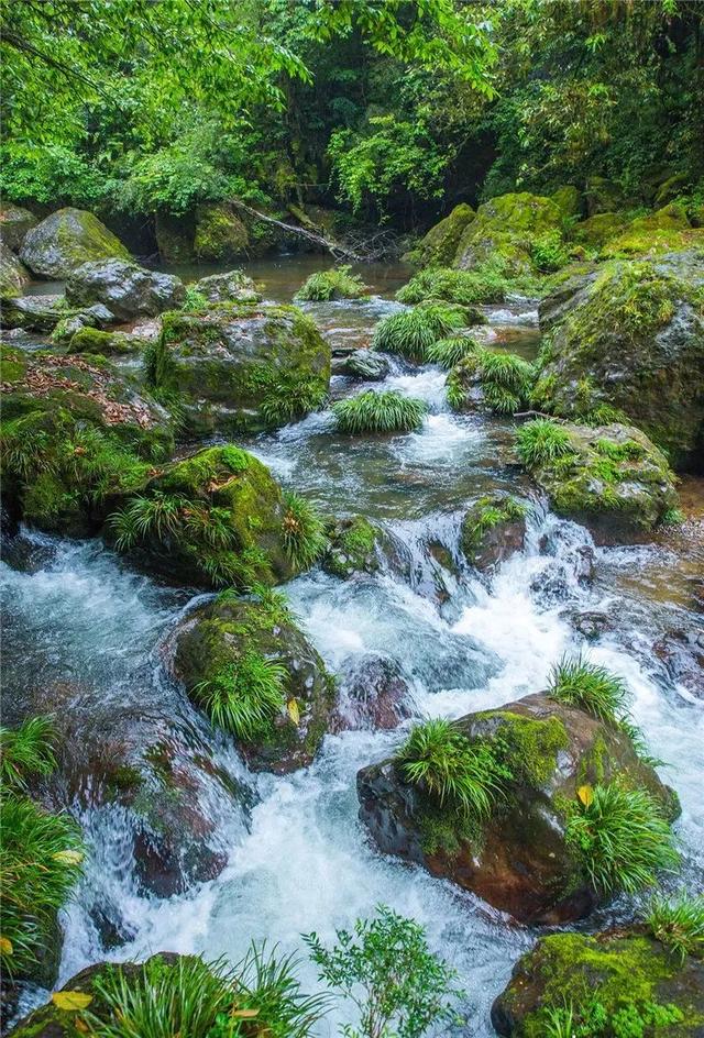 秋望雨城｜在雨城北，秋老虎望而却步！