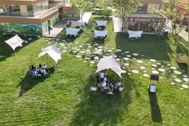 郑州：这些上“天”入“地”的边角料，水灵灵的出圈啦图片