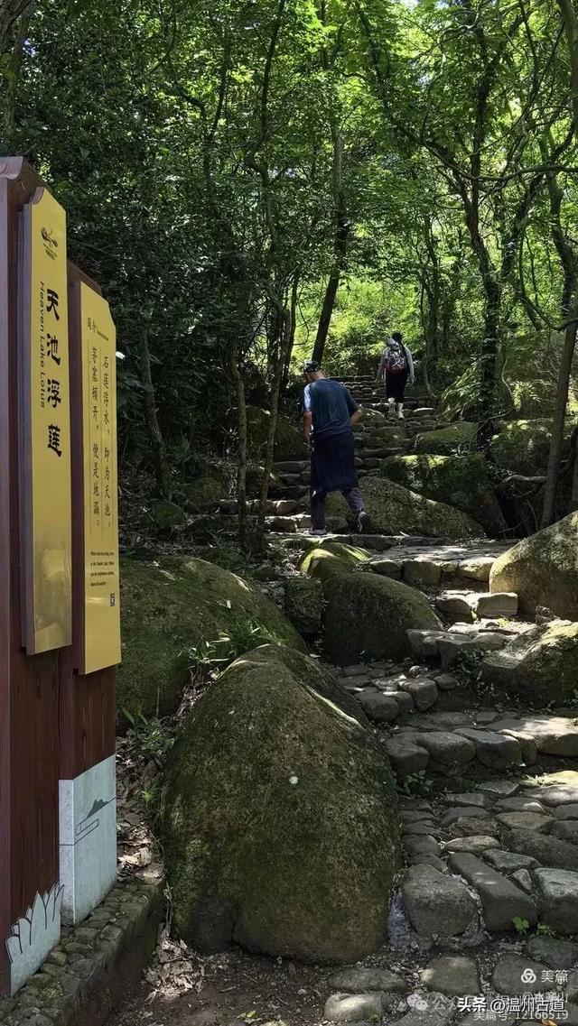 大多浙江人不知道的小众秘境，绿野仙踪！秘藏了“浙东第一古道"