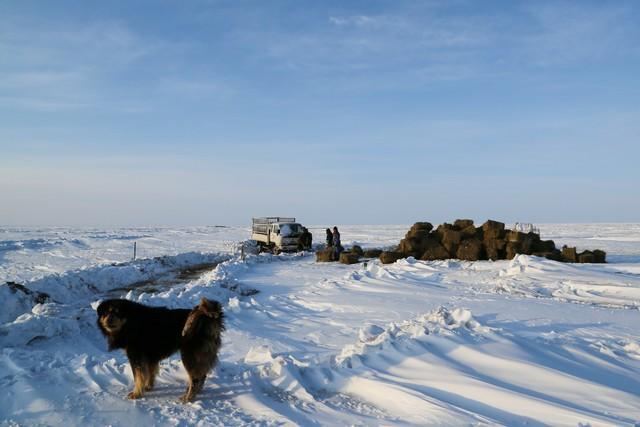 上午小雪冰雪大，下午小雪暖烘烘。今年小雪是啥情况？早了解