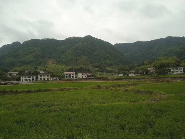 端阳喜伴小溪河，独有诗心迷远足——徒步小溪河散记（三）