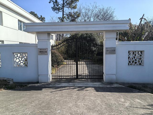 南京第二次到镇江武岐山空青山郊野徒步