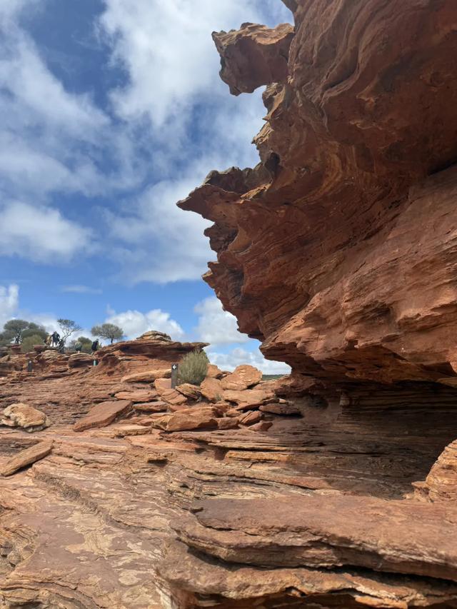 澳大利亚22日世界文化遗产与自然之旅游记