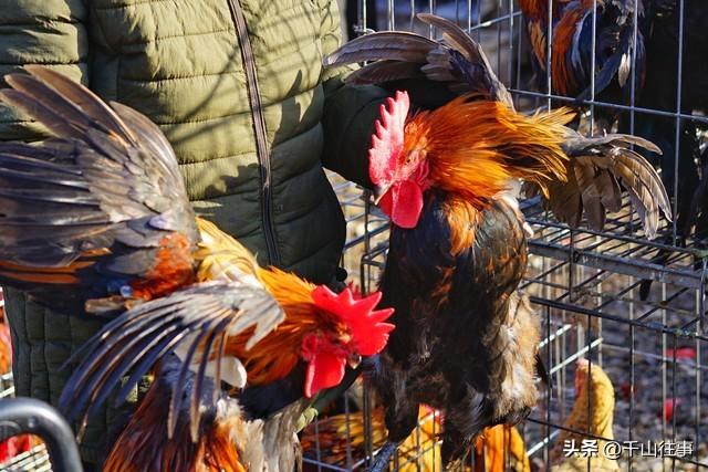 六百年鲁封桥探访指南：从鲁王敕建到烟火人间，解锁鲁南文明密码