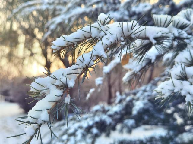 漫步黄河之滨幽静的小路