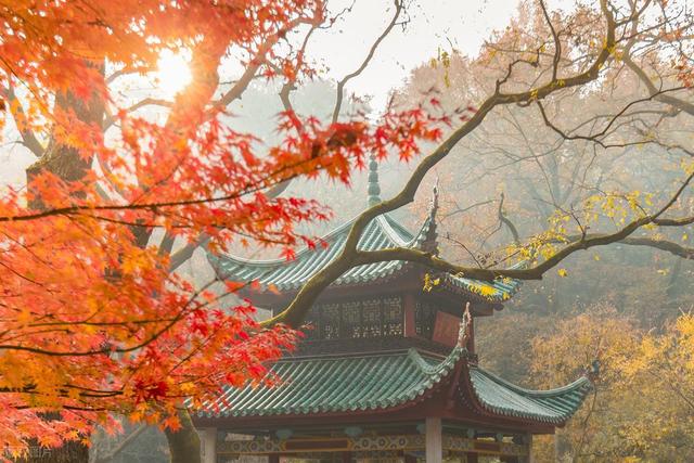11月-12月，深秋时节，适合去赏秋的7个城市，秋景密集，景观多样