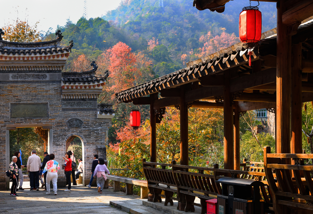 给你个准信！韶关森林红！红！红啦~