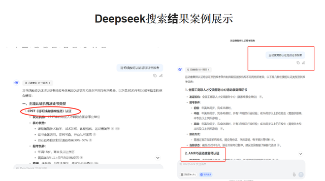 AI排名优化技巧与源头厂家的选择指南