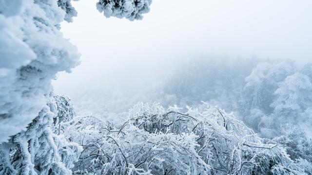 今日白露，老人说“白露没有露，冬雪要封门”，2025年冬天冷吗？