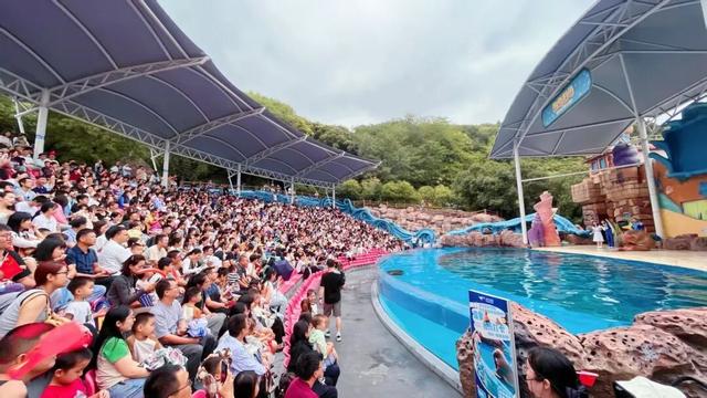 448万人次！双节狂欢，萧山文旅市场“火”出圈！