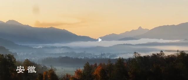 央媒发文！33岁杨紫高调官宣喜讯，网友：恭喜，终于等到了这一天