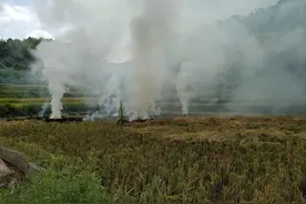 是谁提出秸秆禁烧的？网上搜到的王姓专家系编造，实际上查无此人图片