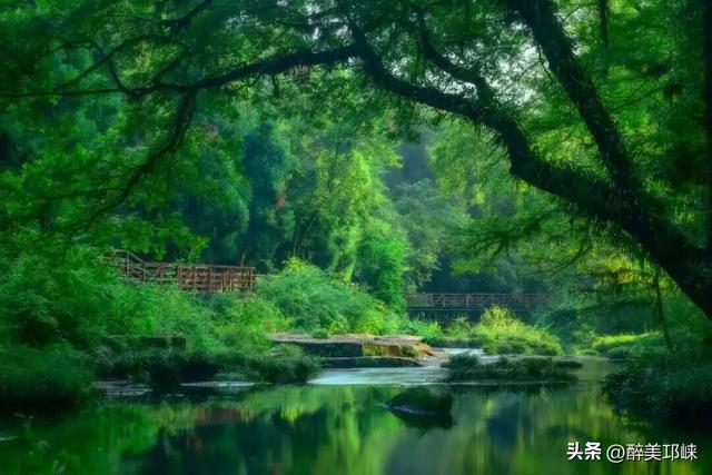 这个国庆，天台山双徒步活动上线！两类玩法任你选，奖牌拿到手软！