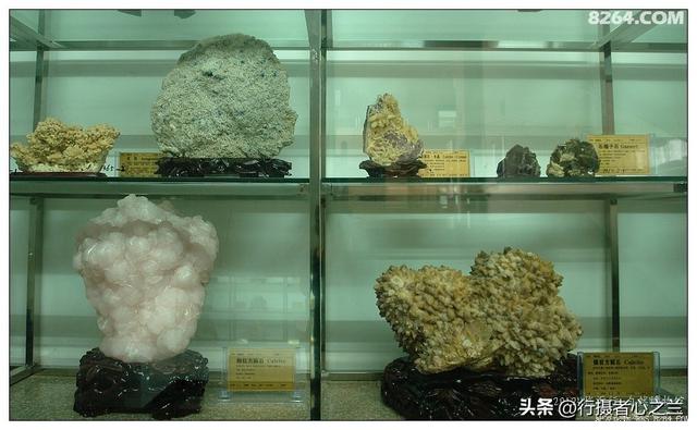 山东行游影记（31）—平邑天宇自然博物馆（六）