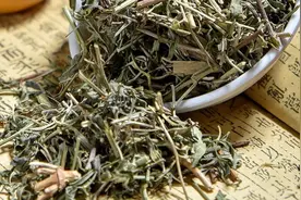 孩子过敏性鼻炎+咳嗽，用3个方法，坚持30天让孩子脾肺“壮如牛”图片