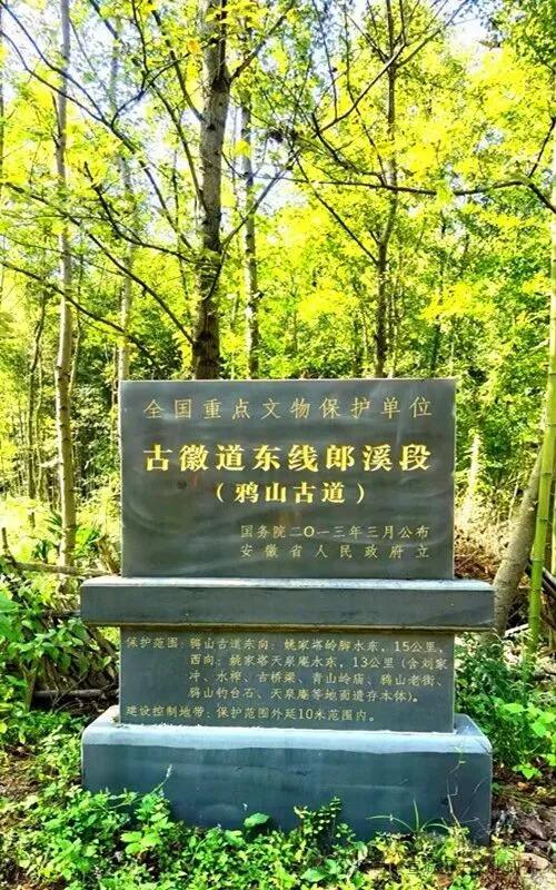 鸦山:拨云见古道
