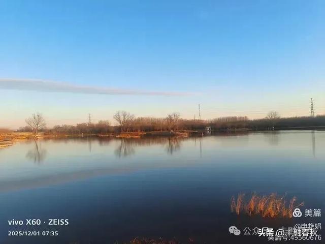 初冬北京朝阳坝河金盏淀:清寒里的静美画卷|申艳娟