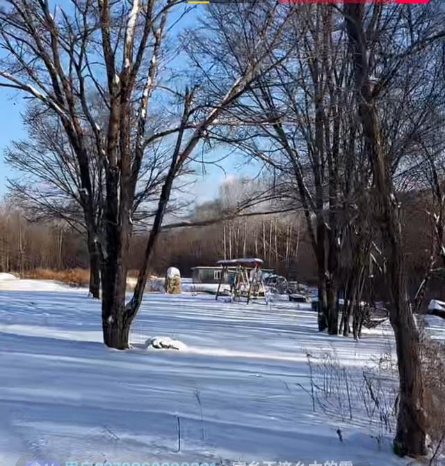 最怕大雪一日晴	”，今日大雪，为啥怕？冬天冷不冷？早看早知道