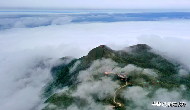 11月灵华限定！藏在深山里的“金色童话”