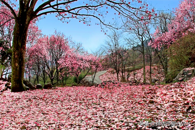 绵阳公路：普通公路服务区助力交旅融合发展