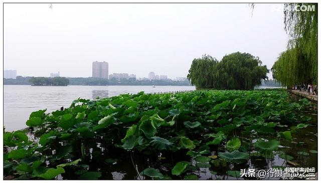 山东行游影记（12）—济南大明湖（一）