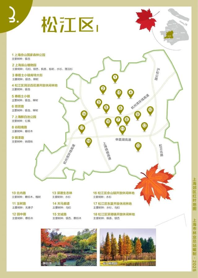 解锁2025上海郊区红叶地图，一起走进申城的五彩世界！