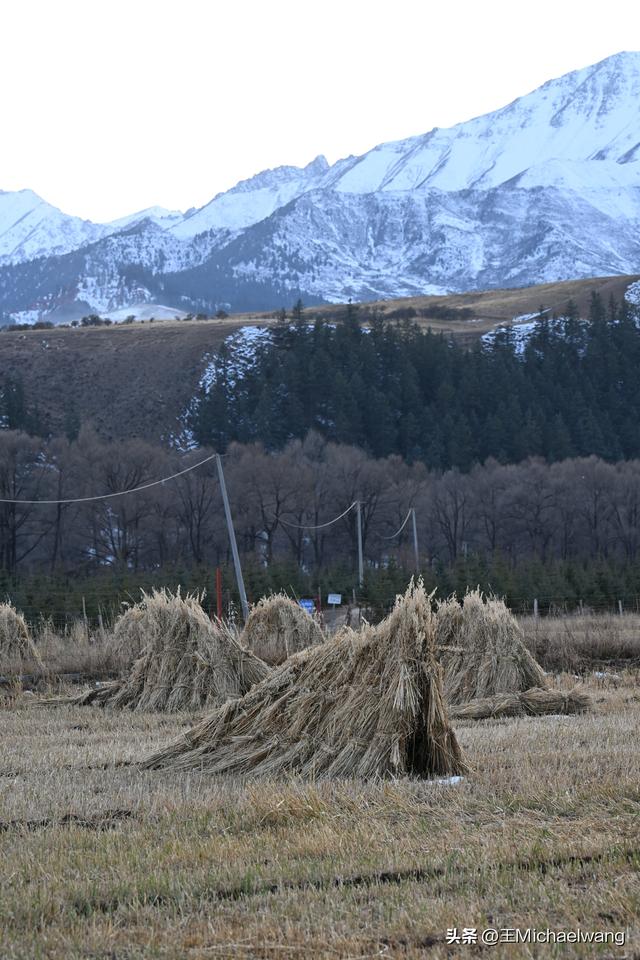 古意秋风三万里（D20）-从临泽县到祁连县