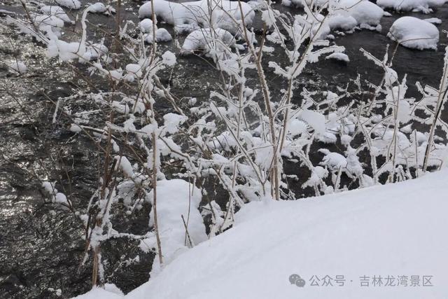 告别金秋，邂逅龙湾初冬！赏雪、观雾凇攻略，这两处景区别错过~