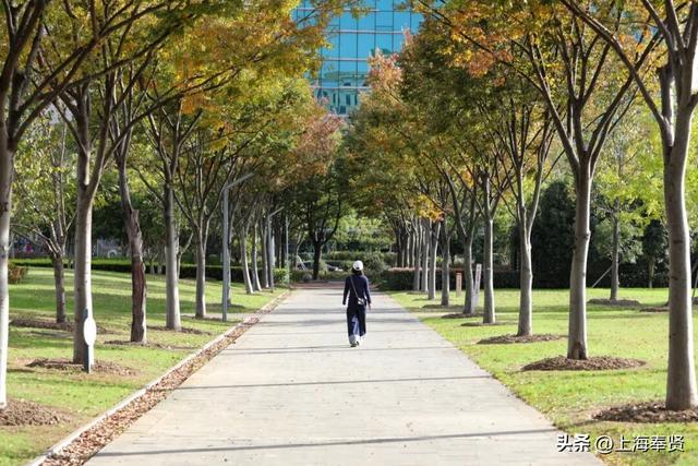 谁懂啊！这些打卡地的秋，连落叶都在教你拍照→