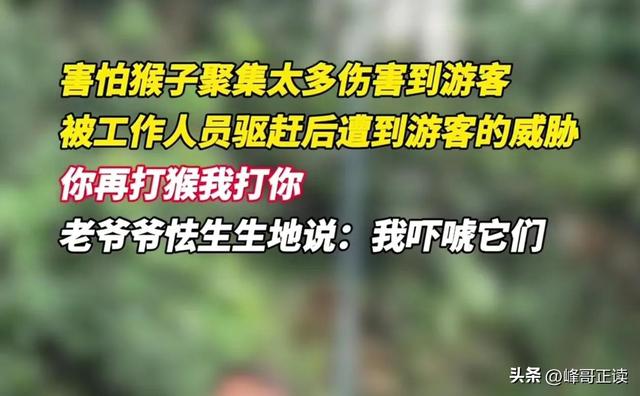 后续！男子大骂景区大爷，身份被扒评论区沦陷，南京文旅意外躺枪