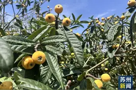 开采啦！好好吃！图片